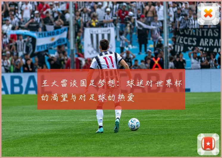 王大雷谈国足梦想：球迷对世界杯的渴望与对足球的热爱